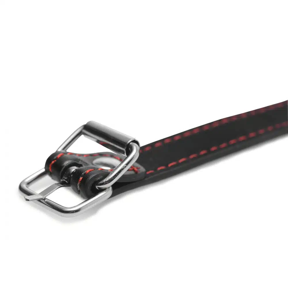Hound Adjustable Dog Bone Gag - Image 2