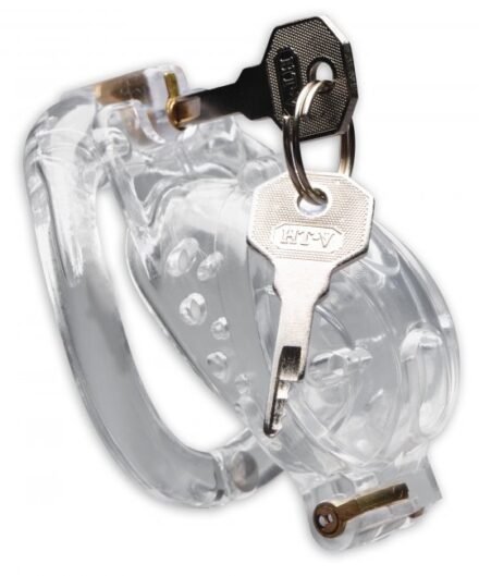 Double Lockdown Locking Customizable Chastity Cage