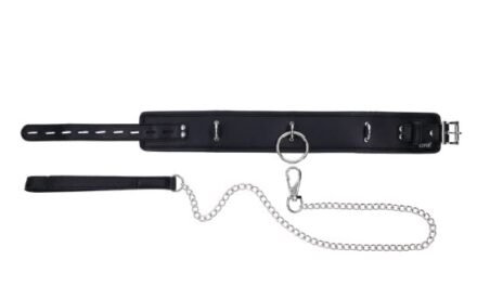 Vegan Collar & Leash Set - Image 4