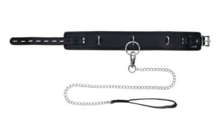 Vegan Collar & Leash Set - Image 5