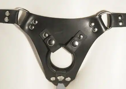 Aslan Vegan Jaguar Strap On Harness - Image 2