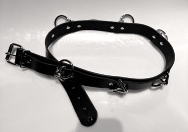 Leather Belt with Rings